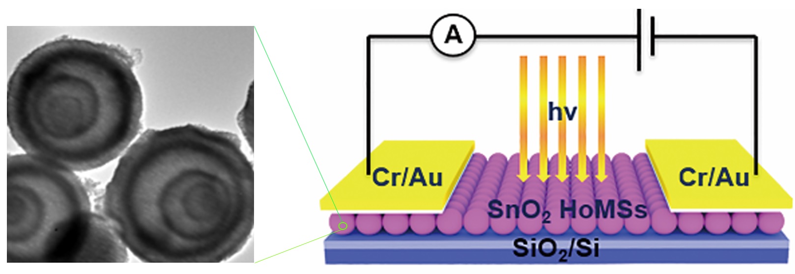 143.Hollow Multi-shelled Structures SnO<sub>2</sub> with Enhanced Performance for Ultraviolet Photodetector