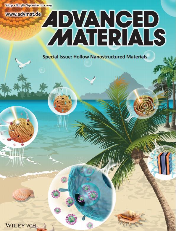 Special Issue:Hollow Nanostructured Materials,Volume 31, Issue 38, September 20, 2019 (Cover Picture )