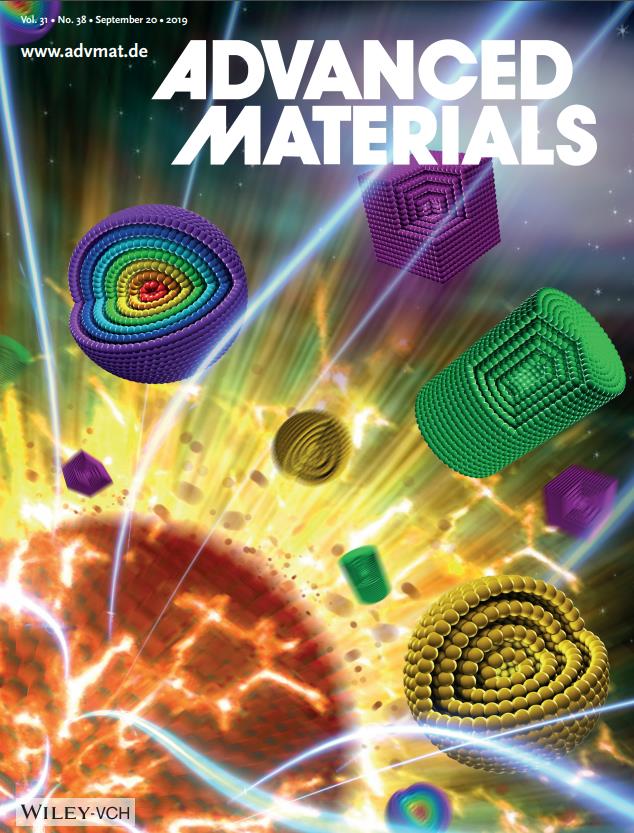 Special Issue:Hollow Nanostructured Materials,Volume 31, Issue 38, September 20, 2019 (Back Cover)