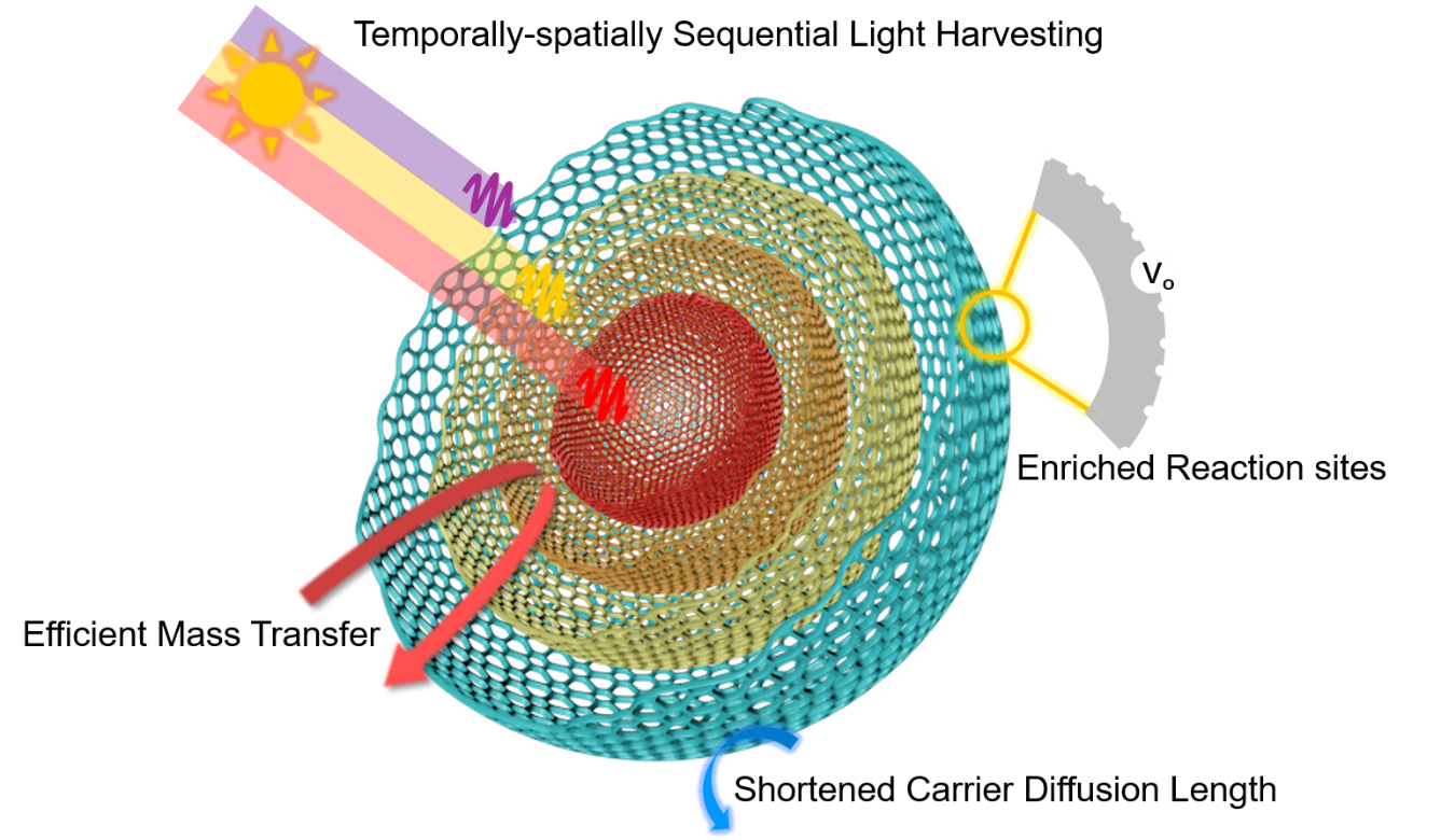 169.Efficient sequential harvesting of solar light by heterogeneous hollow shells with hierarchical pores