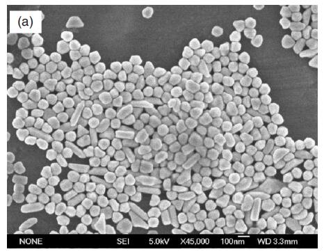 50.Synthesis and Characterization of Gold Nanorods by a Seeding Growth Method