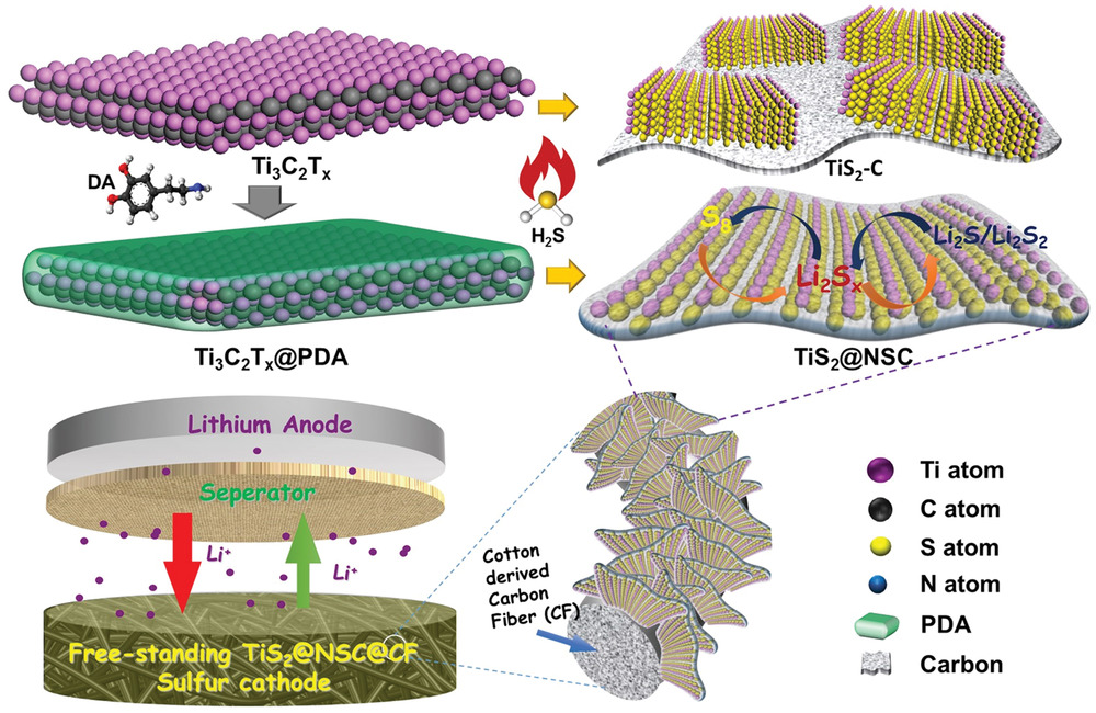 144.Sandwich‐Like Ultrathin TiS2 Nanosheets Confined within N, S Codoped Porous Carbon as an Effective Polysulfide Promoter in Lithium‐Sulfur Batteries