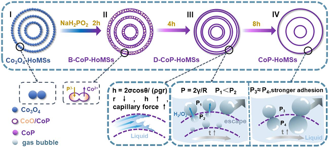 183. Delicate Control on the Shell Structure of Hollow Spheres Enables Tunable Mass Transport in Water Splitting