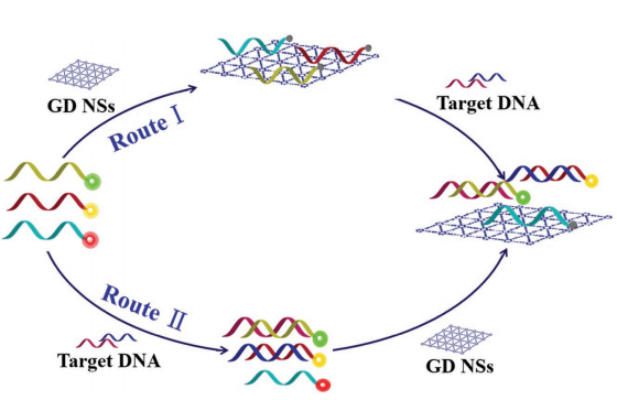 124.Few-Layer Graphdiyne Nanosheets Applied for Multiplexed Real-Time DNA Detection