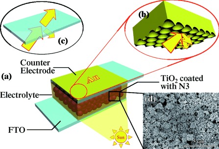 72.Enhanced Light Harvesting in Plasmonic Dye‐Sensitized Solar Cells by Using a Topologically Ordered Gold Light‐Trapping Layer