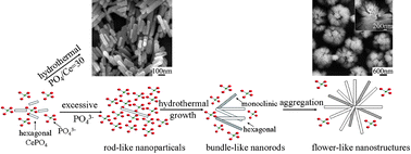 41.Low-temperature hydrothermal synthesis and structure control of nano-sized CePO4